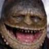 Dr. Krappenschitz