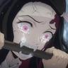 Nezuko Noms