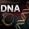 PERFECT DNA
