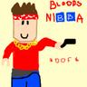 roblox pro