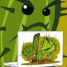 Angry Cactus