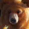Papi Bear