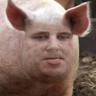 Wusel Gaming