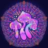 ZSHISH