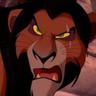 Scar