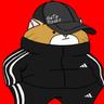 Gato Tincho