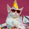 PartyCat