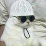 Billi
