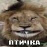 Виктор Петрович