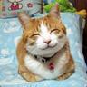 Cat_^