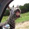 ZebrasGoneCrazy