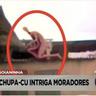 CeifadorDeCanela