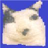 bingus1