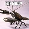 НИЧОСИ!!!