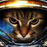 Meow