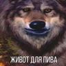 приморский волк