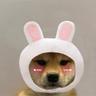 bunny