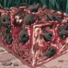 rat cube