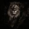 ✪ nayr