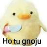 ho tu gnoju
