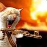 >Cat-On-WAR<