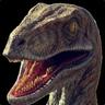 Raptor