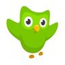 duolingo SKINS