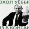 илья шварцнейгер