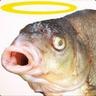 buynewacc