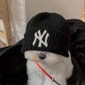 Frøn1xxx