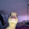Kevin