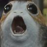 PORG