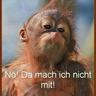 rovster