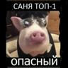 СаняТоп-1(опасный)
