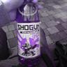 SHOGUN