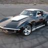 Stingray