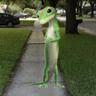 The Geico Gecko