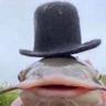 Cåtfīsh