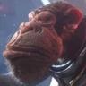 ApeResearcher