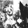 supremacy
