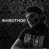животное | Zwierzak