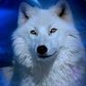 wolf狼