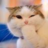 revax-