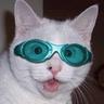 meow
