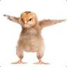 i love colonel's chicken