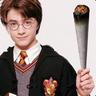 Harry Potter el Sardão *