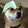 Lieutenant Lettuce
