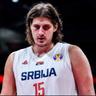 Gojko Sisa