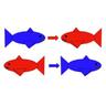 OneFishTwoFishRedShiftBlueShift