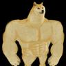 Doge